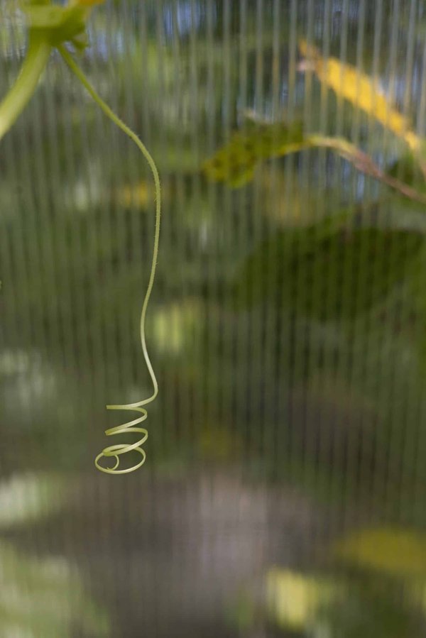 What Are the Best Strategies for Coping with Jet Lag on Long-Haul Flights?